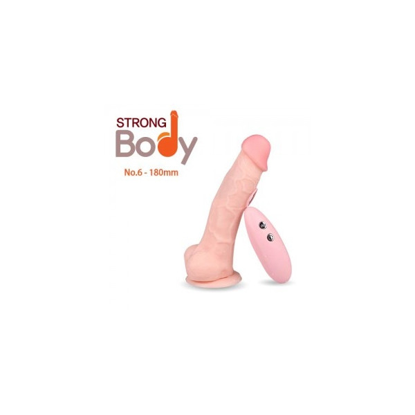 [ZINI] Strong Body No.6 - Revolution 180mm (스트롱바디 6)