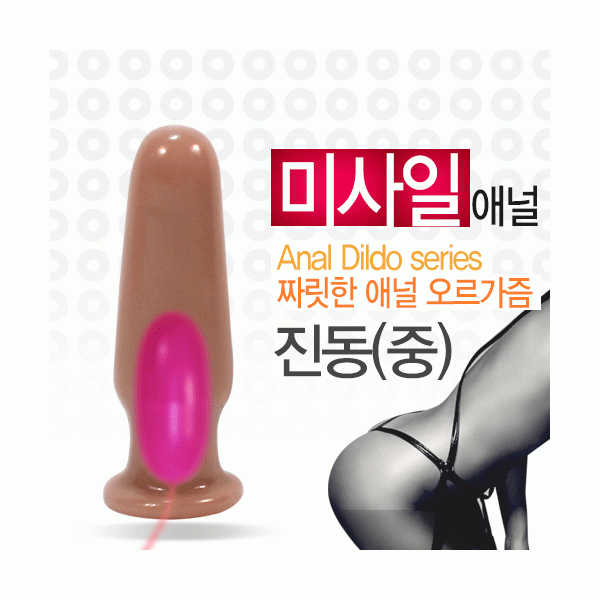 미사일 애널-중-진동