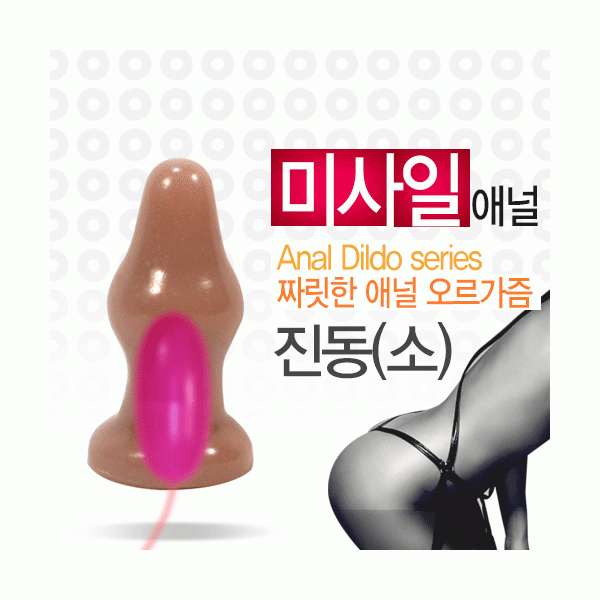 미사일 애널-소-진동