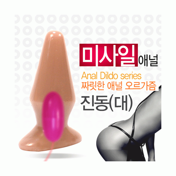 미사일 애널-대-진동