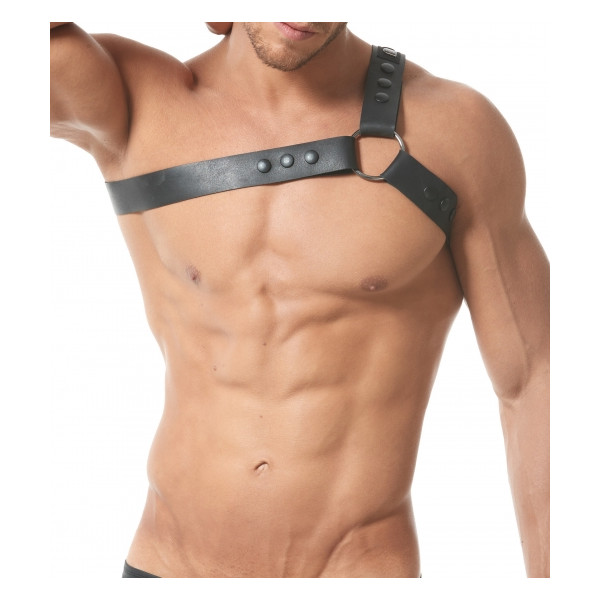 [GREGG] BONDED HARNESS BLACK (150960)