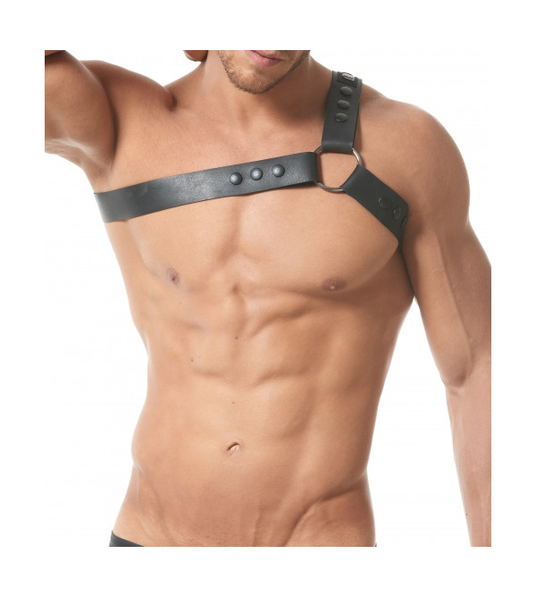 [GREGG] BONDED HARNESS BLACK (150960)