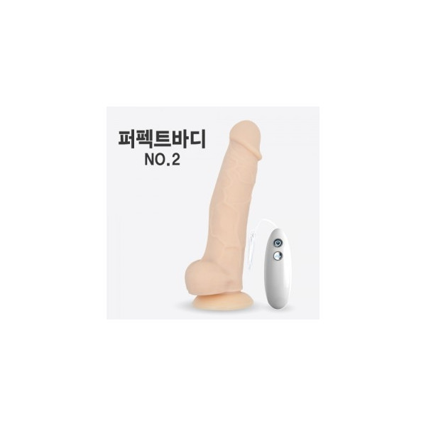 [흡착형진동딜도 ZINI] 퍼펙트 바디 2탄 175mm (인체에 안전한 소재 / 12단계 모드 순환 진동)